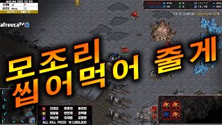 역대급 제대로 미친 경기력 [종최 8주차] 이제동 김택용 이재호 김명운 변현제 윤찬희 박상현 장윤철 정영재 [KCM 종족최강전 2022, 시즌2]