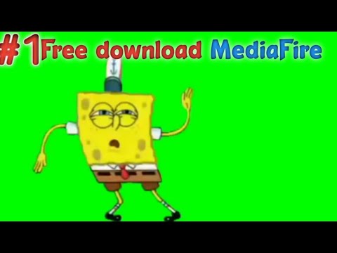  Animasi  Spongebob dancing  Green  Screen  1 YouTube