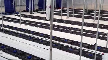 AutoPot Farm 28th April 2013