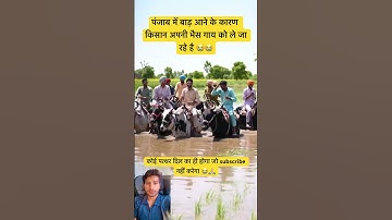 Top Learning Tools 🥰 for Tech Enthusiasts #shorts #shortsfeed #viralshorts