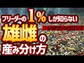 【1％シリーズ】実は雌雄の産み分け方がある！！【ローキーズネオ】