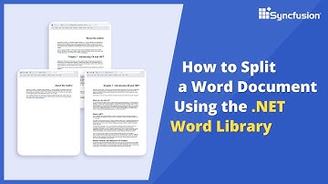 How to Split a Word Document Using the .NET Word Library