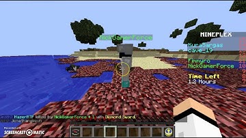 Mineplex Bridges Hacker