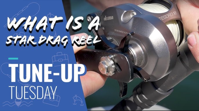 Tune-Up Tuesday  Tips on Making Adustments to the Drag Cam on you