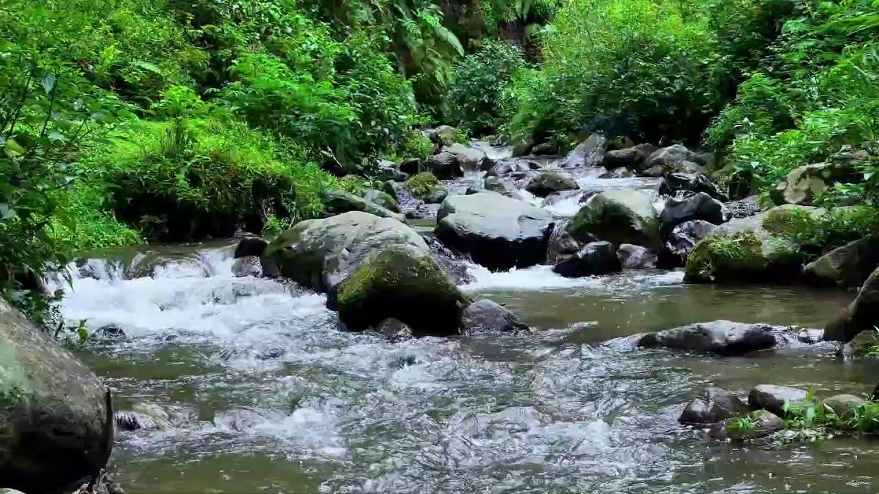 Gentle river relaxation near forest water improving deep sleep comfort through the night