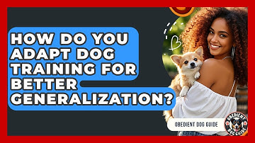 How Do You Adapt Dog Training For Better Generalization? - Obedient Dog Guide