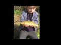 Dad and lads fishing day  roach  perch  tench