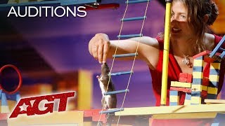 WHAT?! A Trained Rat Takes Over The AGT Stage! - America's Got Talent 2019
