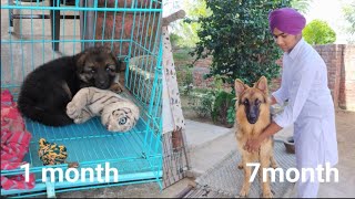 jack transformation 1 to 7 months #nocopyrightmusic by Its_jack_GSD 31,481 views 7 months ago 9 minutes, 4 seconds