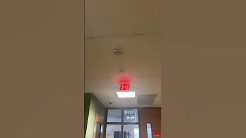 Simplex Truealert Speaker Strobe