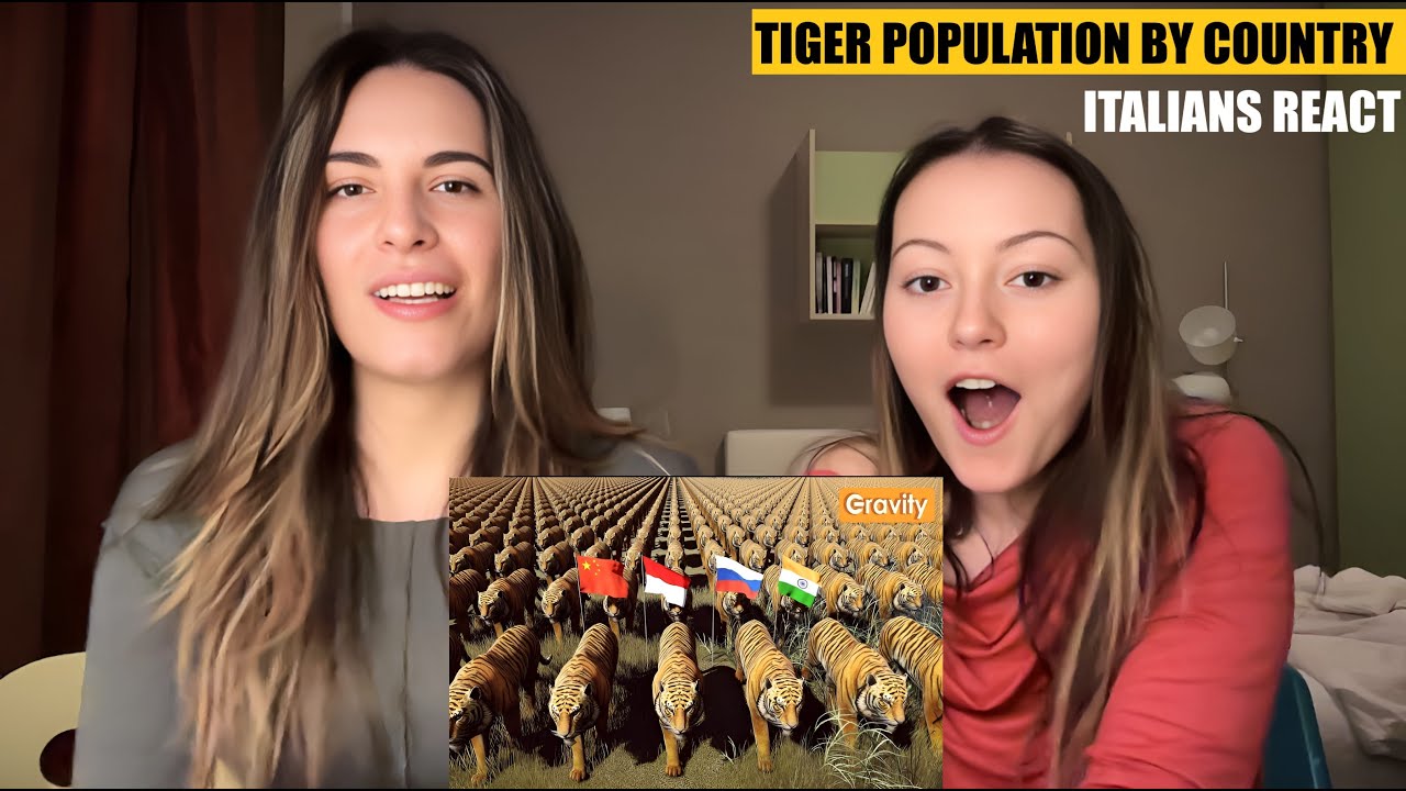 Реакция итальянцев на популяцию тигров в разных странах