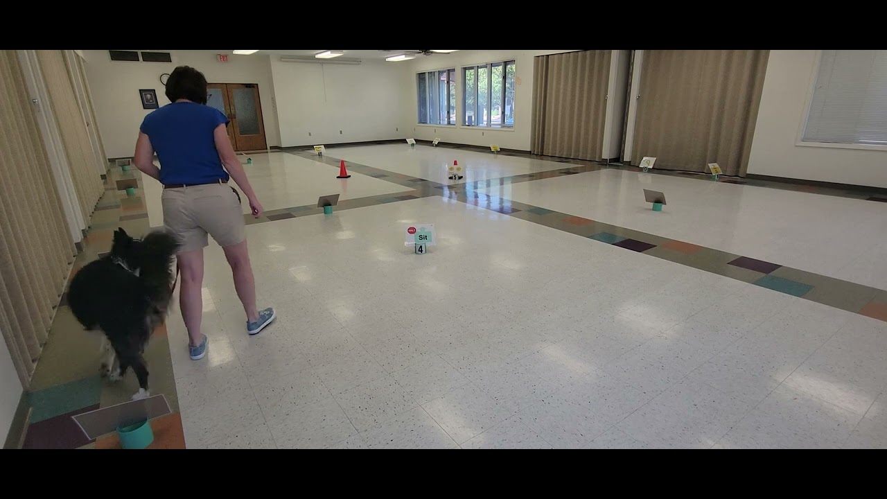 AKC Rally Novice Virtual Course 3 - YouTube