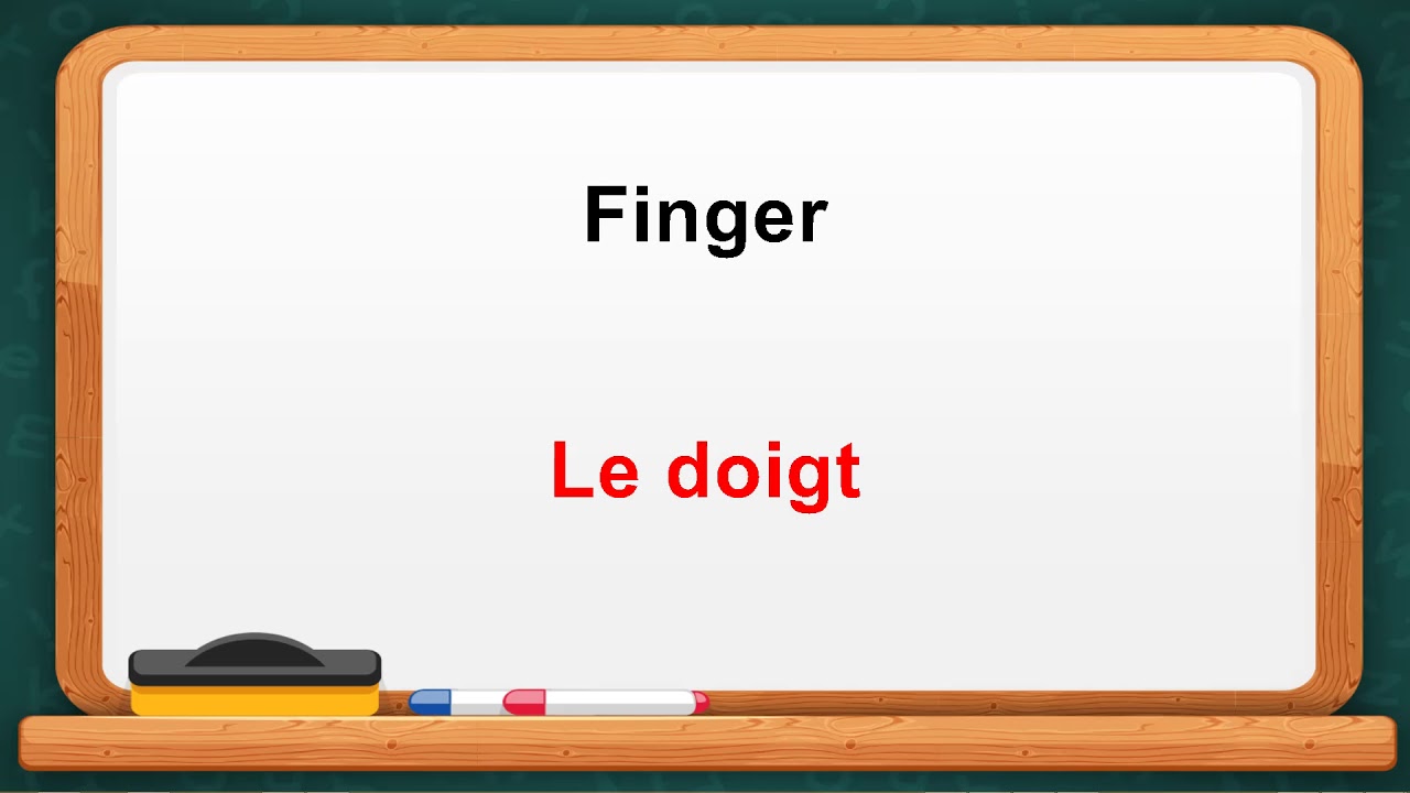 Learn Body Parts in FrenchPart 2. YouTube