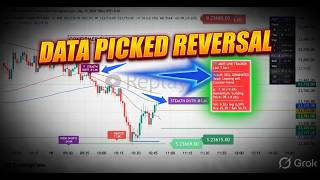 HOW Data Confirmation predicted REVERSAL May 19
