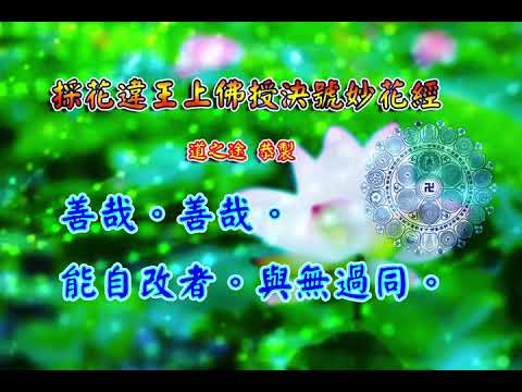 採花違王上佛授決號妙花經 |消災解厄 解冤釋結 專念向佛  日日念 增福慧 防治武漢肺炎 勤洗手 戴口罩 不去密閉人多空間 板金清肺湯 請見影片說明| 道之途