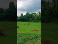 Farm Lover #nasarnature #indianfarmer
