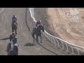 View race 7 video for 2026-08-01