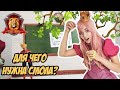 ФЕЯ СОФИЯ В СУПЕР ШКОЛЕ - ДЛЯ ЧЕГО НУЖНА СМОЛА?