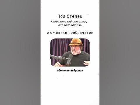Ежовик От Стеметс купить на OZON по низкой цене