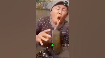 Geen paniek: verhelp een schildpaddenbeet snel!