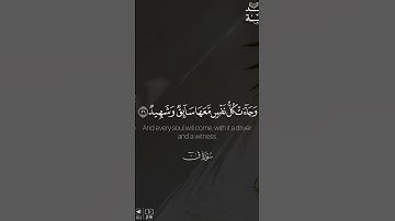 القارئ راشد الحليبة