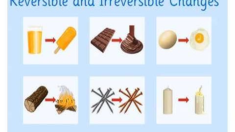 Class 6 - Science - Chapter - 6 Changes Around Us vol1