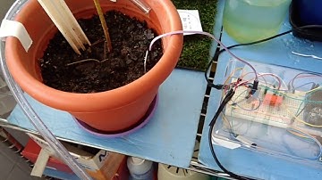 Projeto de Irrigação com Arduino
