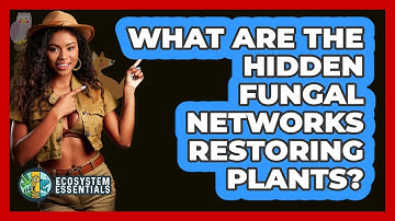 What Are The Hidden Fungal Networks Restoring Plants? - Ecosystem Essentials