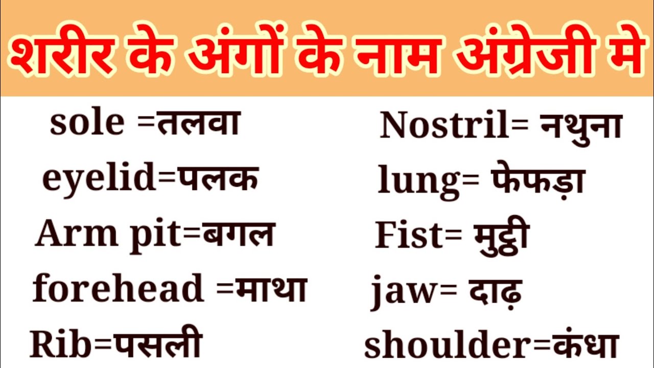 Human Body Parts Name In Hindi sharir Ke Angon Ke Naam Hindi Mein YouTube Human Body Parts Name In Hindi sharir Ke Angon Ke Naam Hindi Mein YouTube