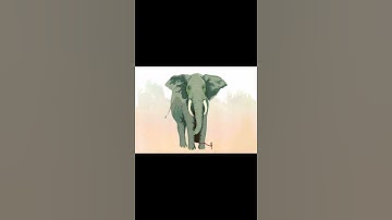 Know your own strength  | UPSC CSE | #Motivation #upsccse #ias