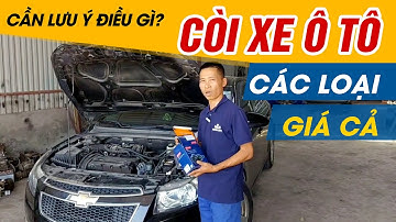 Thay còi ô tô có đắt không? - Các loại còi xe cơ bản. Cần lưu ý điều gì?