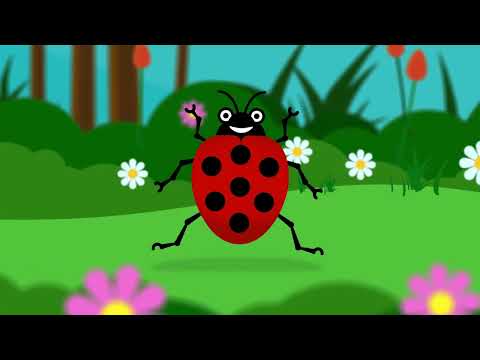 Ecoute petite coccinelle