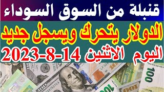 سعر الدولار اليوم | أسعار الدولار اليوم/ اسعار الدولار السوق السوداء اليوم في مصر الاثنين 14-8-2023