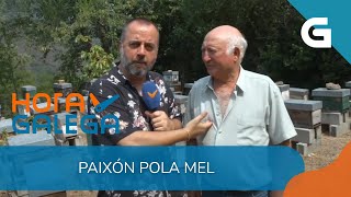 🐝 QUIROGA, entre abellas con o pioneiro da mel ecolóxica en Galicia