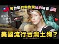 帶台灣狗飛美國送養 ❤️ 在紐約這麼受歡迎？！因為台灣米克斯的這些特色 ✨｜Flying this Taiwanese dog to adopters in USA