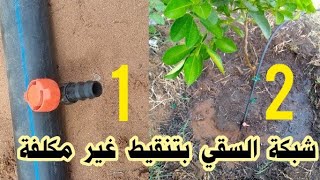 تصميم شبكة السقي بتنقيط أشجار المثمرة الأفوكادو والحمضيات How to setup drip irrigation system
