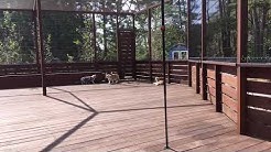 那須の森猫rienチャンネル Youtube