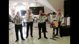 Muzica de petrecere la nunta. Balashov Band