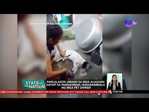 Video: Pinapayagan ba ng MTSU ang mga alagang hayop?