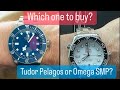 Should Tango buy an Omega SMP or a Tudor Pelagos?