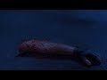 James Cameron's "Maggot Arm" | Clip from Tales From The Lumber Yard: The Making of Galaxy Of Terror