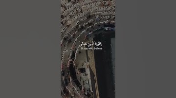 القارئ عبد الرحمن مسعد سورة (الحج)