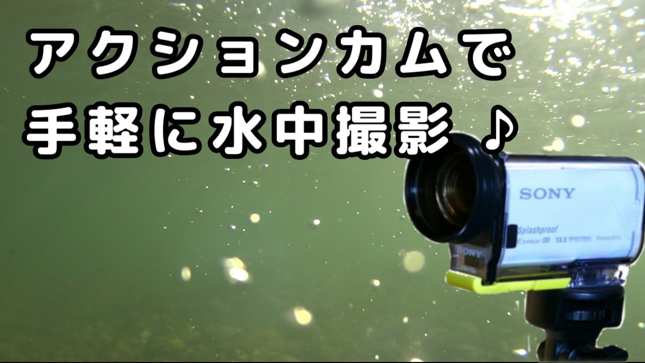 SONYアクションカムで手軽に水中撮影♪