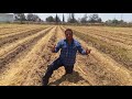 Consejos Practicos Manejo Rastrojo Siembra PV MasAgro Guanajuato v1