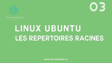 Les répertoires racines d