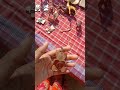 PART 2 Family picnic shorts vlogs