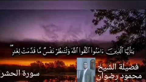 الشيخ محمود رضوان سورة الحشر 1