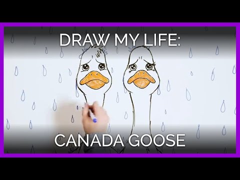 Draw My Life: Canada Goose Edition, Featuring Sarah Jeffery