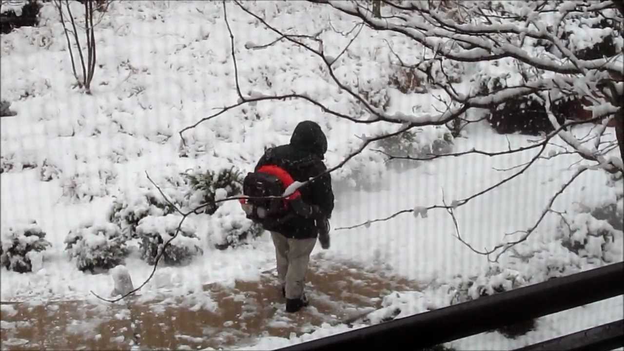 Snow Removal with Leaf Blower, Washington DC Snowstorm March 25, 2013
