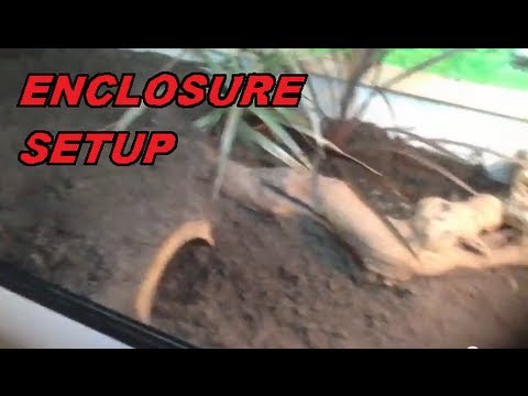 bosc monitor baby Setting Up Bosc Monitor Enclosure
